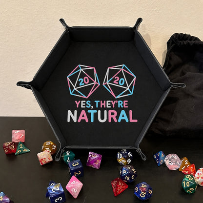 Natural 20 Critical Hit Pair - DICE TRAY